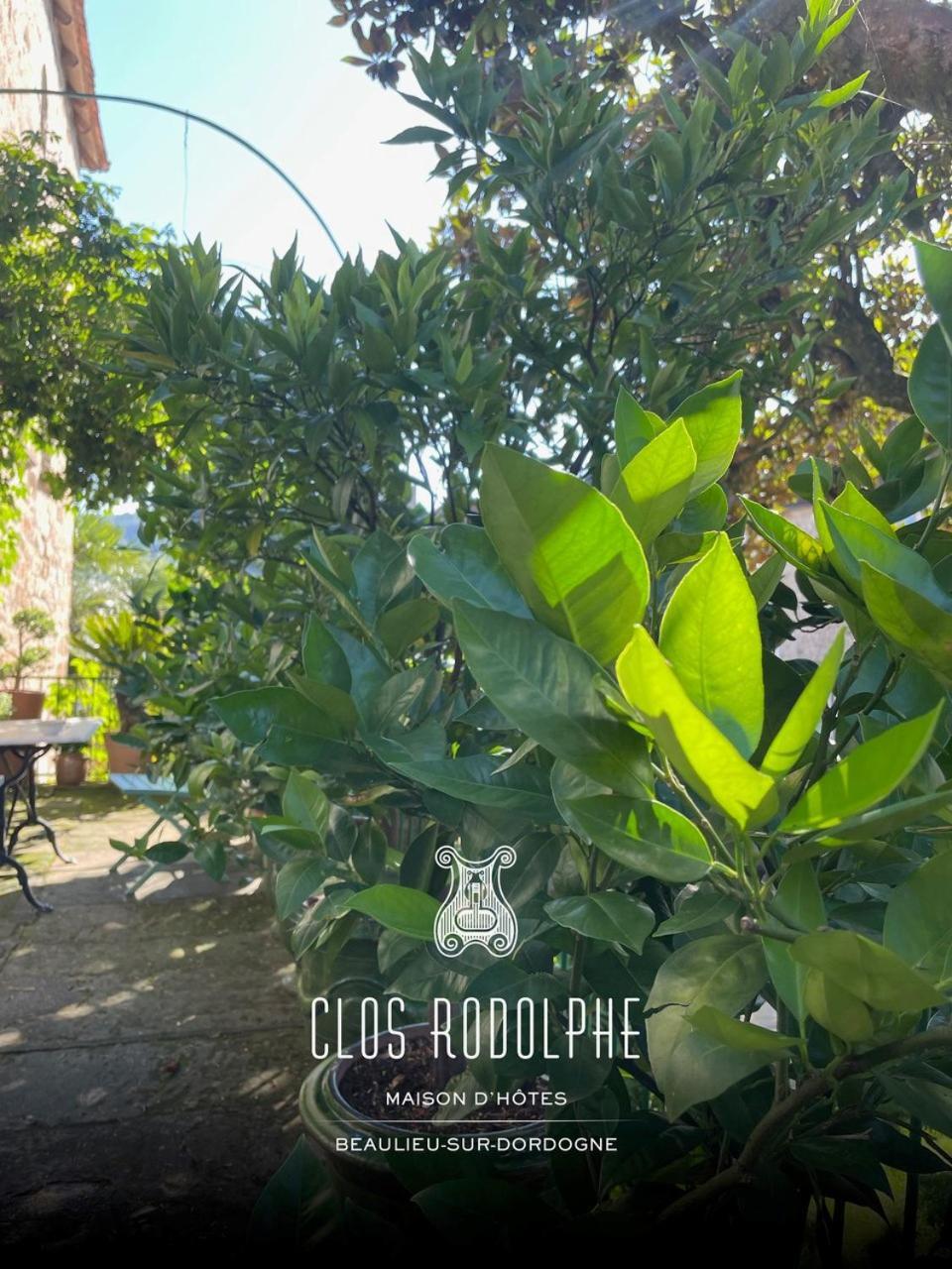 Le Clos Rodolphe ボーリュ・シュル・ドルドーニュ エクステリア 写真